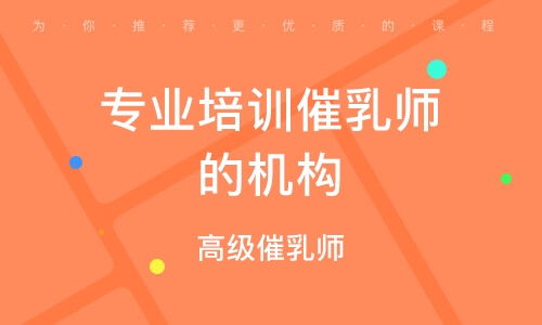 成都家政服务师 保姆 培训